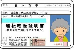 運転経歴証明書_見本